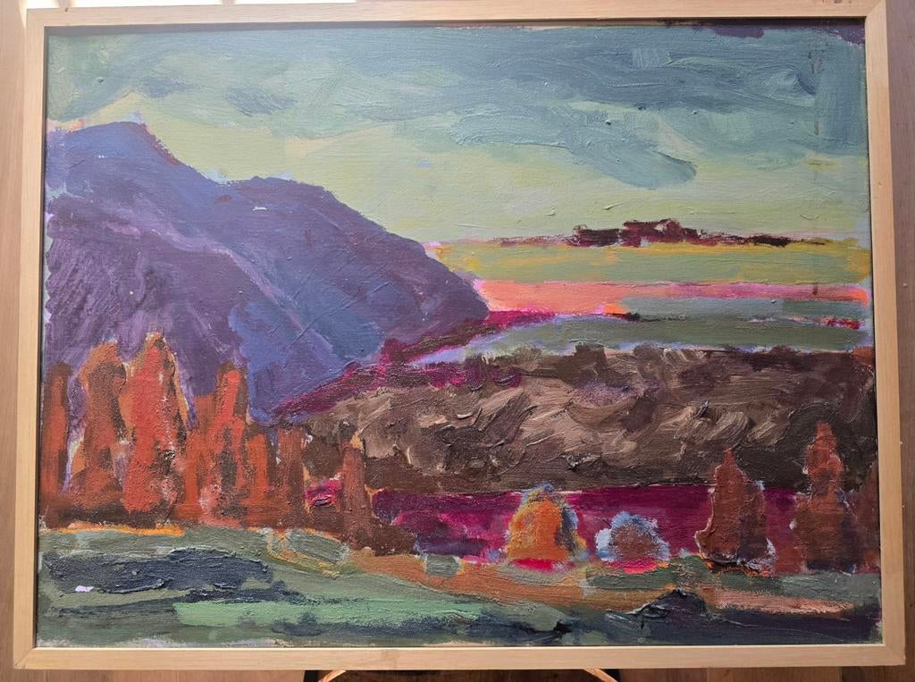 Groot schilderij P.C. Kuiper Kleurrijk landschap met lijst, Antiek en Kunst, Kunst | Schilderijen | Modern, Ophalen of Verzenden