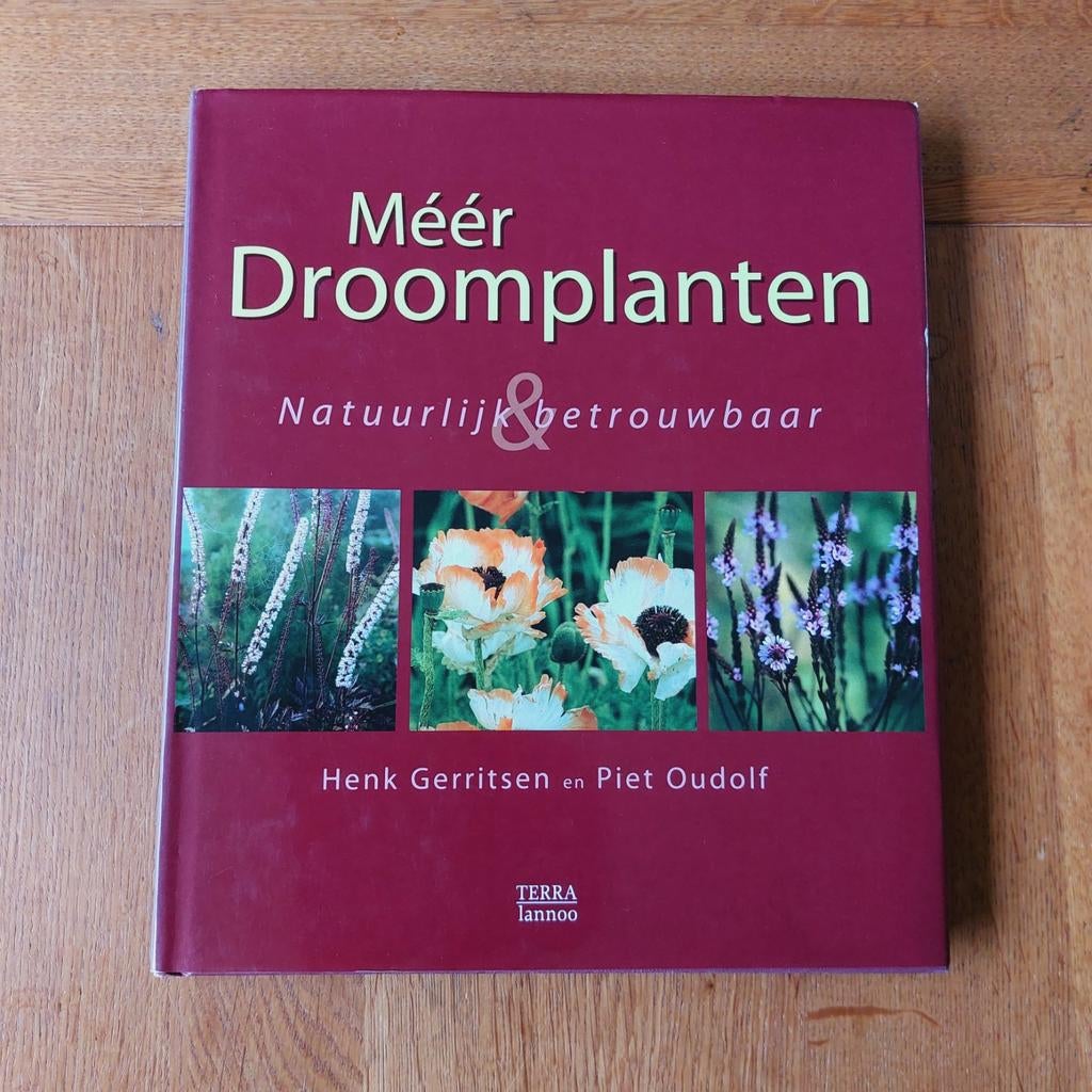 Meer Droomplanten van Oudolf & Gerritsen - Goede staat, Boeken, Ophalen of Verzenden, Gelezen, Piet Oudolf en Henk Gerritsen, Tuinieren en Tuinplanten