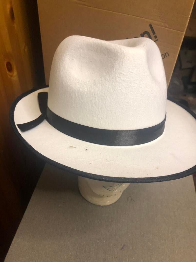 Witte carnavals hoed lees de tekst, Kleding | Heren, Carnavalskleding en Feestkleding, Ophalen, Zo goed als nieuw, Overige maten