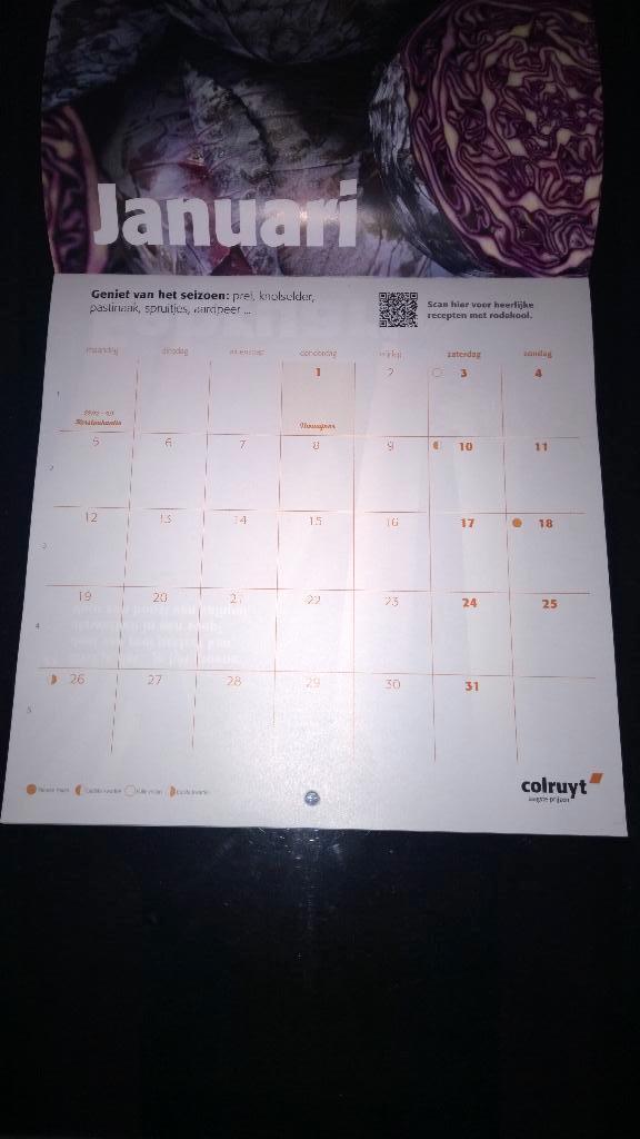 2026 Kalender, Diversen, Ophalen of Verzenden, Maandkalender, Nieuw