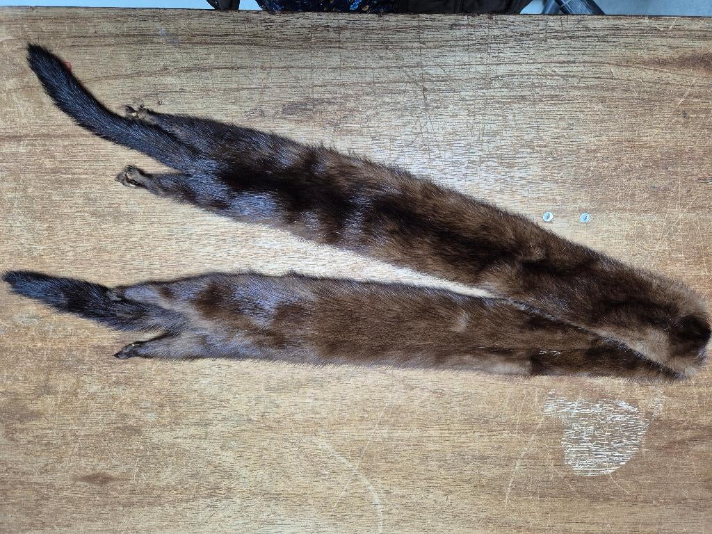 Bont sjaal Nerts bruin, 1.30 meter Stola, Maat 46/48 (XL) of groter, Sjaal, Gedragen, Mink