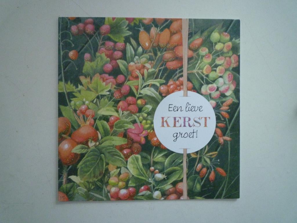 Kerstkaart Marjolein Bastin met rode bessen rozenbottels, Ophalen of Verzenden, Voor 1920, Feest(dag)