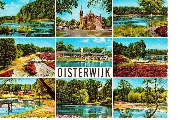 Ansichtkaart	Oisterwijk	De Boskant Camping	9-luik, Verzenden, 1960 tot 1980, Gelopen, Noord-Brabant