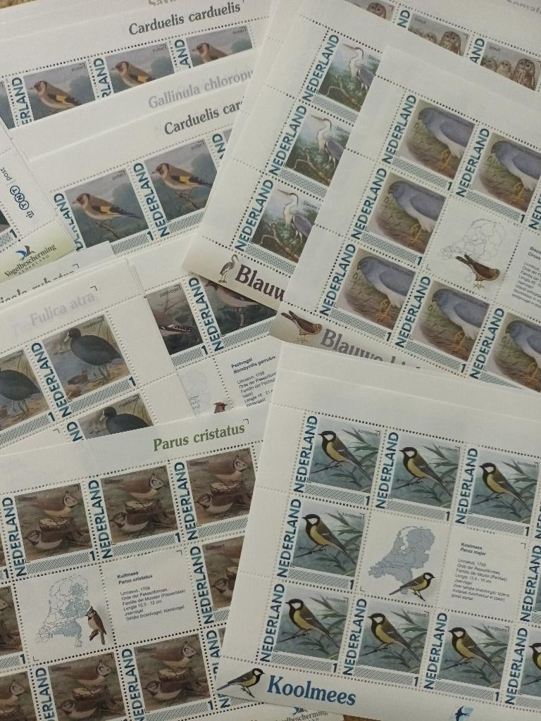 Velletjes 10 x tarief 1 Vogels in Nederland"> Luxe postfris!, Postzegels en Munten, Postzegels | Nederland, Verzenden, Na 1940