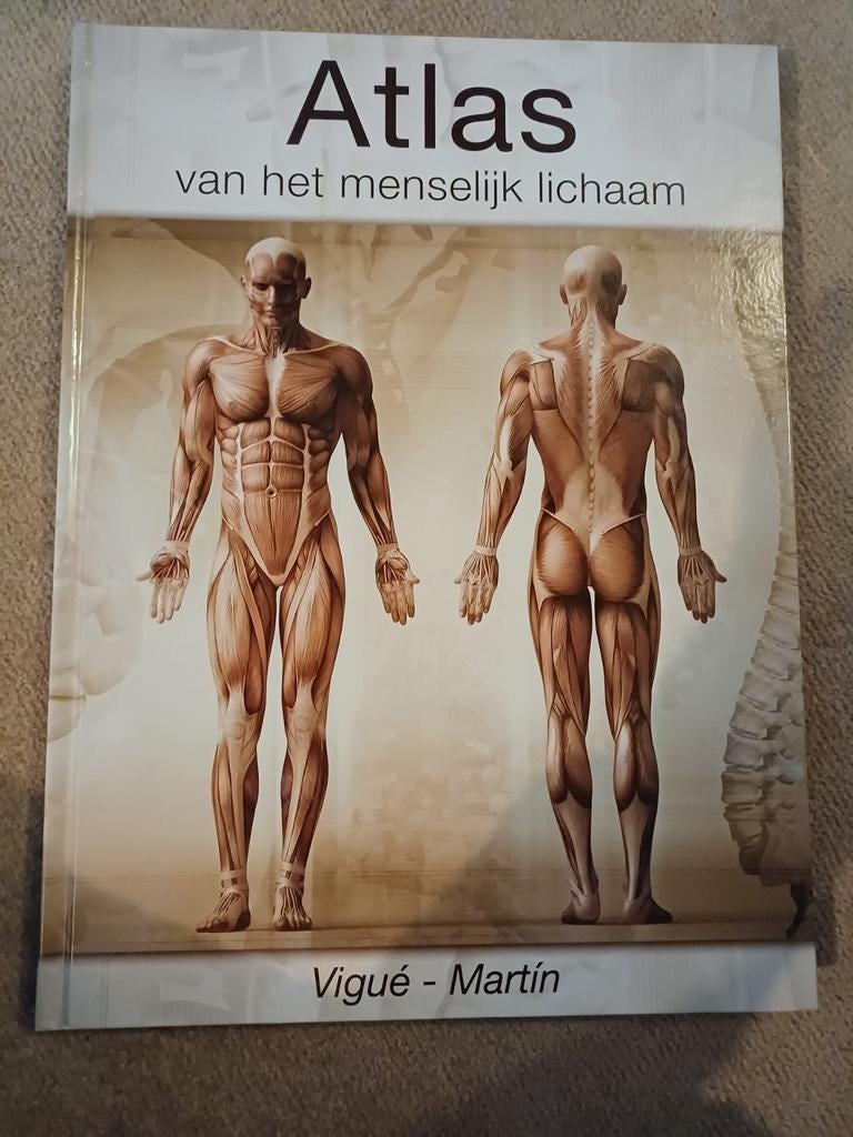 Atlas van het menselijk lichaam, Boeken, Encyclopedieën, Gelezen, Medisch, Ophalen of Verzenden, Los deel