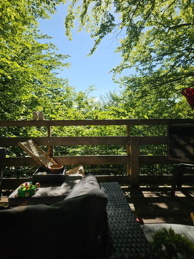 Te koop; heerlijk chalet in de Ardennen -  (4/5 personen)., 5 personen, In bos, Recreatiepark, Tv