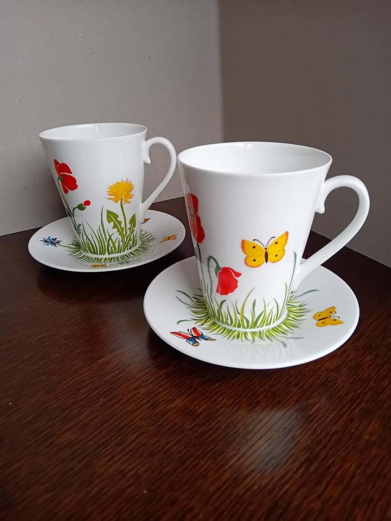 2x Fin Bone China kop en schotel en 2x mokje, Huis en Inrichting, Keuken | Servies, Nieuw, Ophalen of Verzenden, Overige stijlen