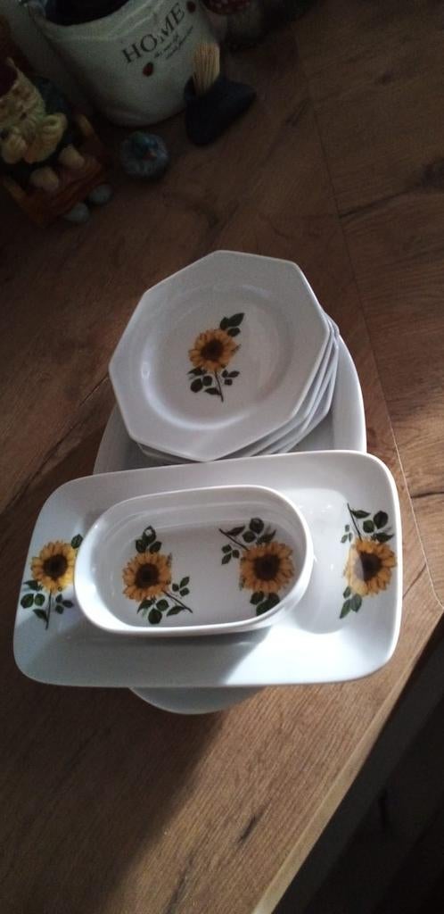 Leuk servies, Huis en Inrichting, Ophalen, Zo goed als nieuw