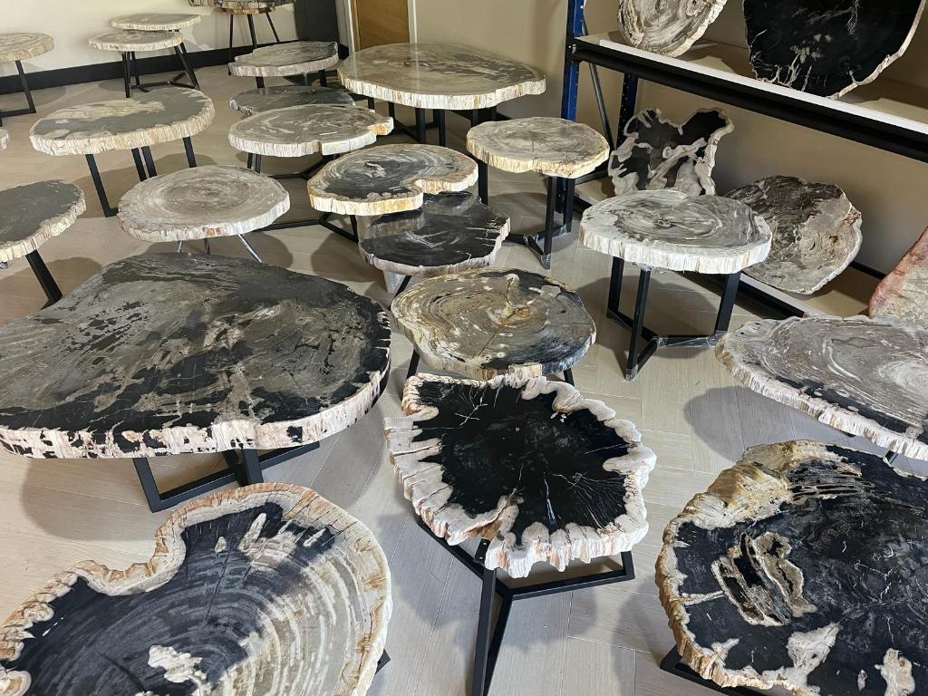 Versteend Hout Salontafels  - Fossiele versteende salontafel, Nieuw, Overige vormen, Minder dan 50 cm, 50 tot 100 cm