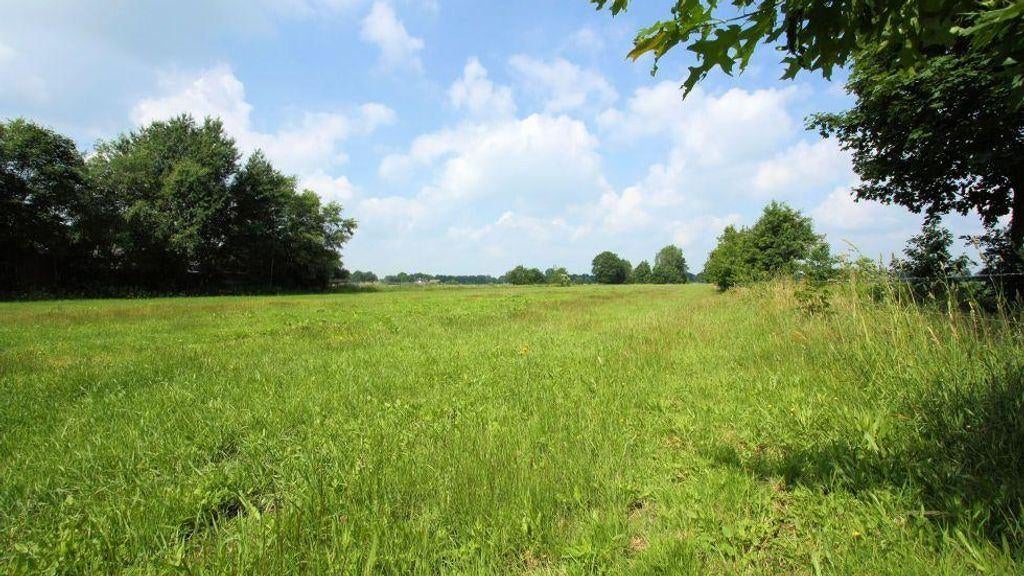 Weiland gezocht voor 2 a 3 pony's, Dieren en Toebehoren, Stalling en Weidegang, Weidegang, 2 of 3 paarden of pony's