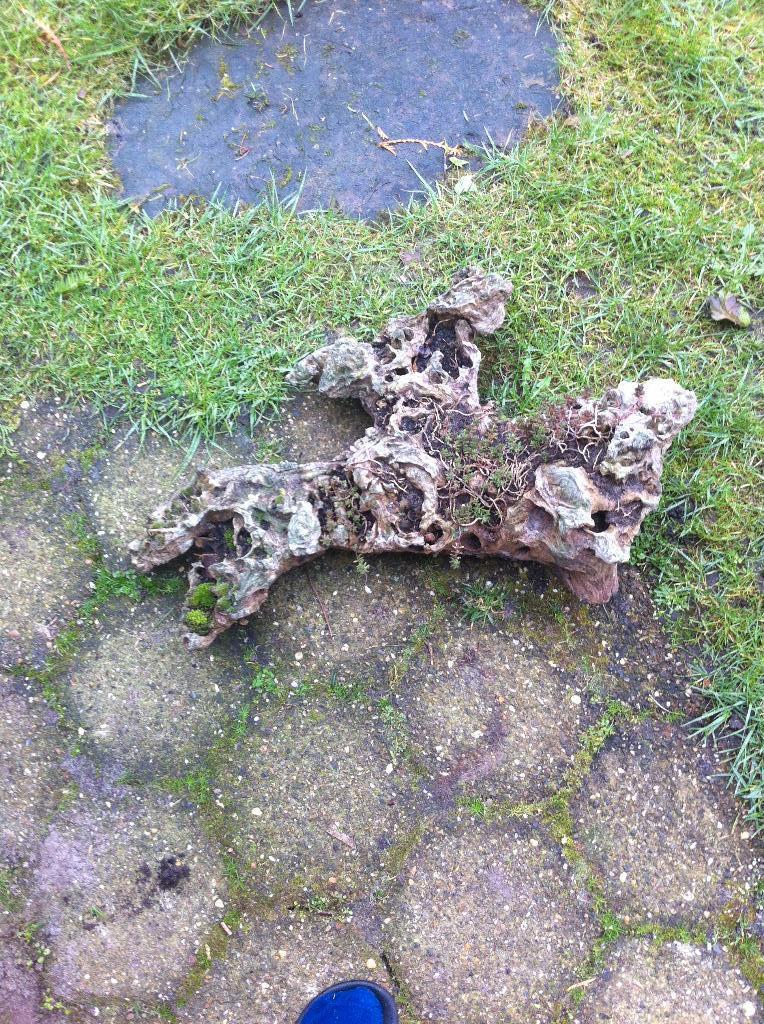 Boomstronk lengte 60 cm Breedte 45 cm, Ophalen of Verzenden