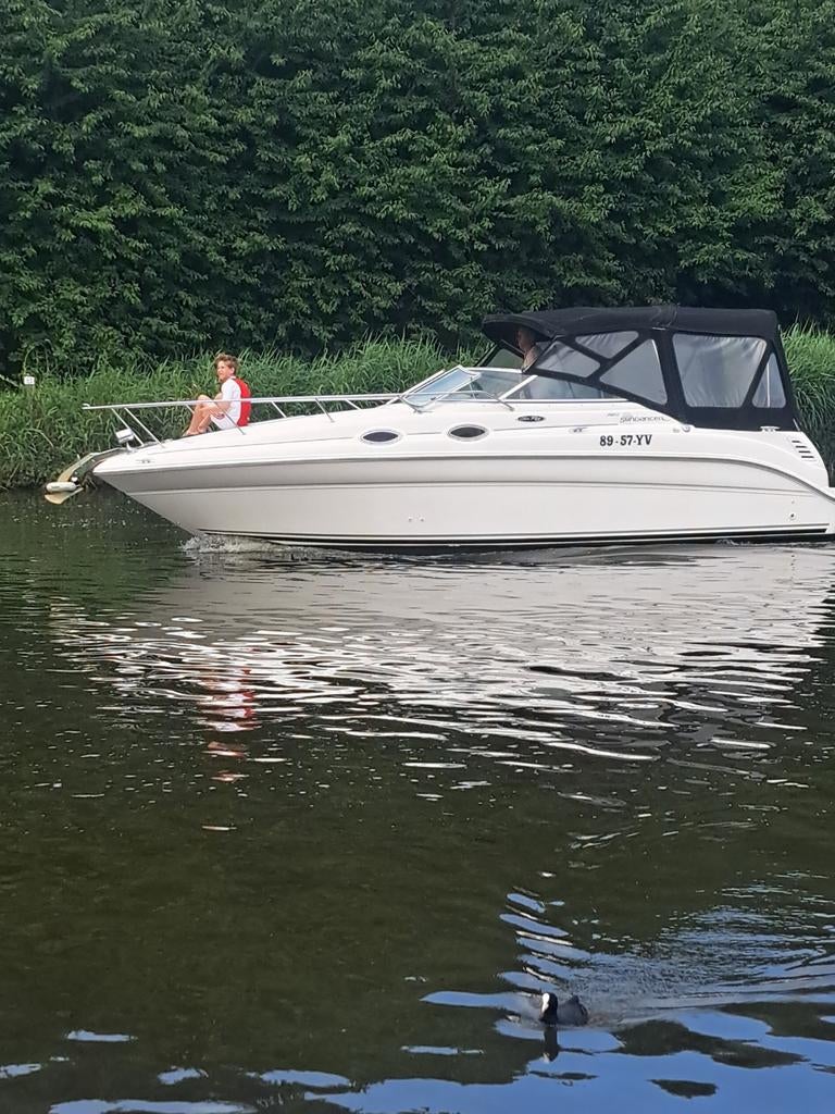 Sea Ray Sundancer 260, Watersport en Boten, Motorboten en Motorjachten, Ophalen, Polyester, Benzine, 50 pk of meer