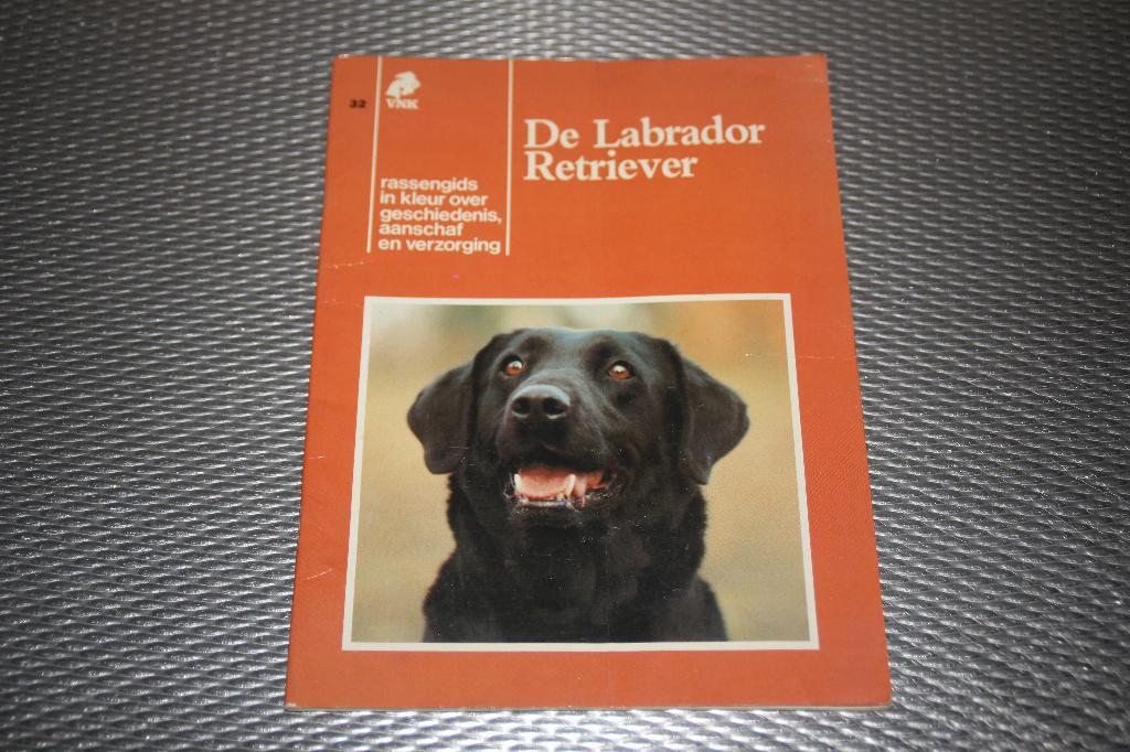 de labrador retriever, Ophalen of Verzenden, Gelezen, Honden