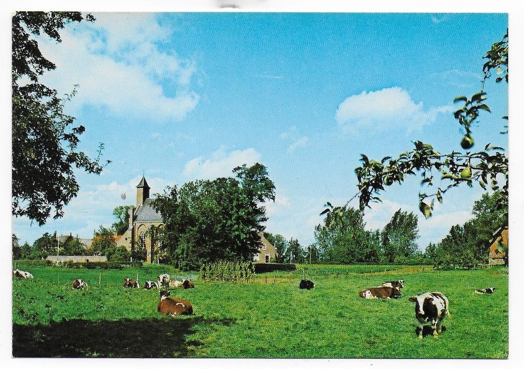 Ongelopen ansichtkaart Nederhemert - Zuid (B4880, Ophalen of Verzenden, 1980 tot heden, Ongelopen