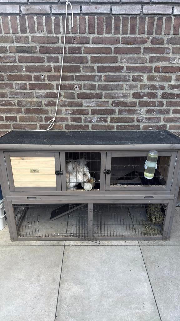 Konijnenhok, Dieren en Toebehoren, Ophalen, 90 cm of meer, Konijn, Hok