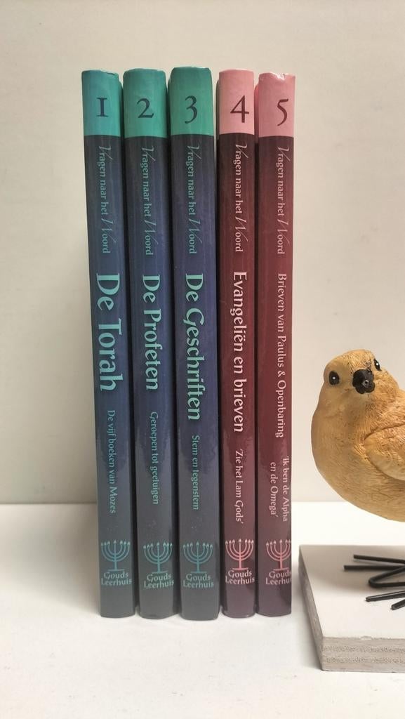Gouds Leerhuis; Vragen naar het Woord (5 delen), Boeken, Godsdienst en Theologie, Gelezen, Christendom | Protestants, Ophalen of Verzenden