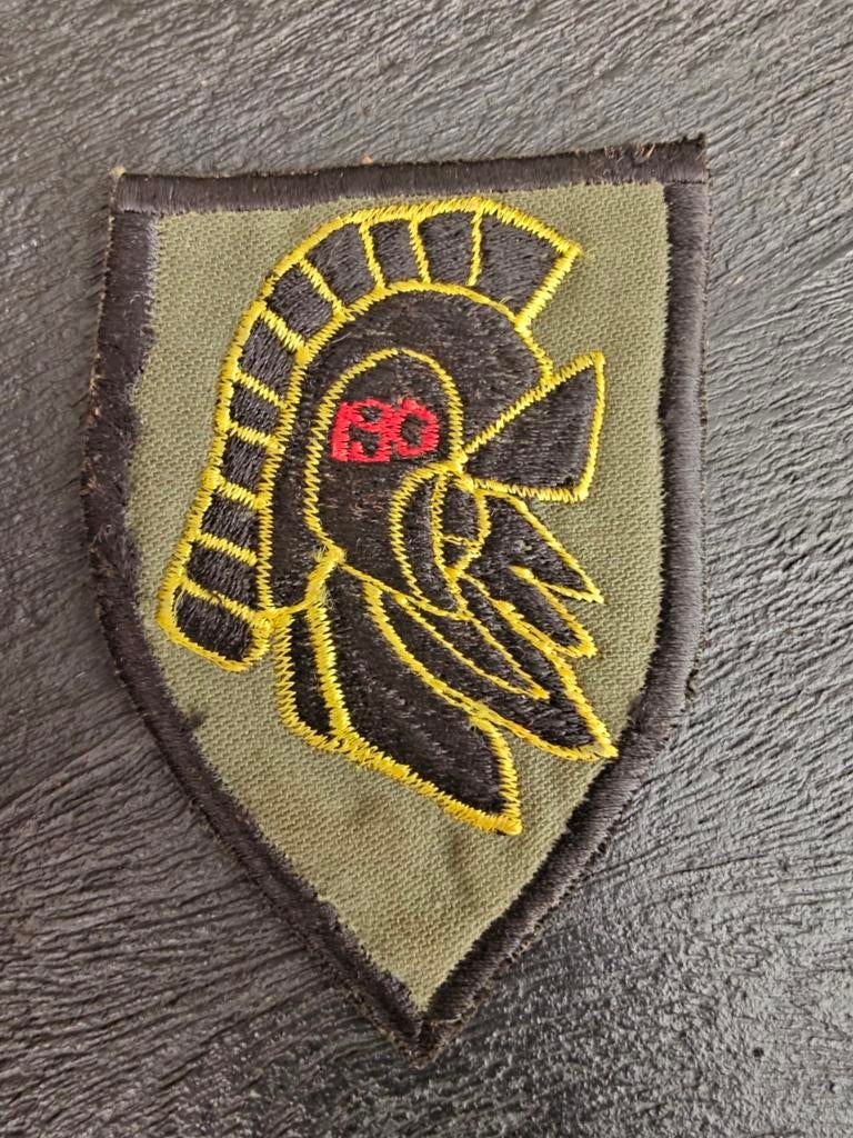 US Army 190th Assault Helicopter Company Spartian Vietnam Pa, Ophalen of Verzenden, Landmacht, Amerika, Embleem of Badge