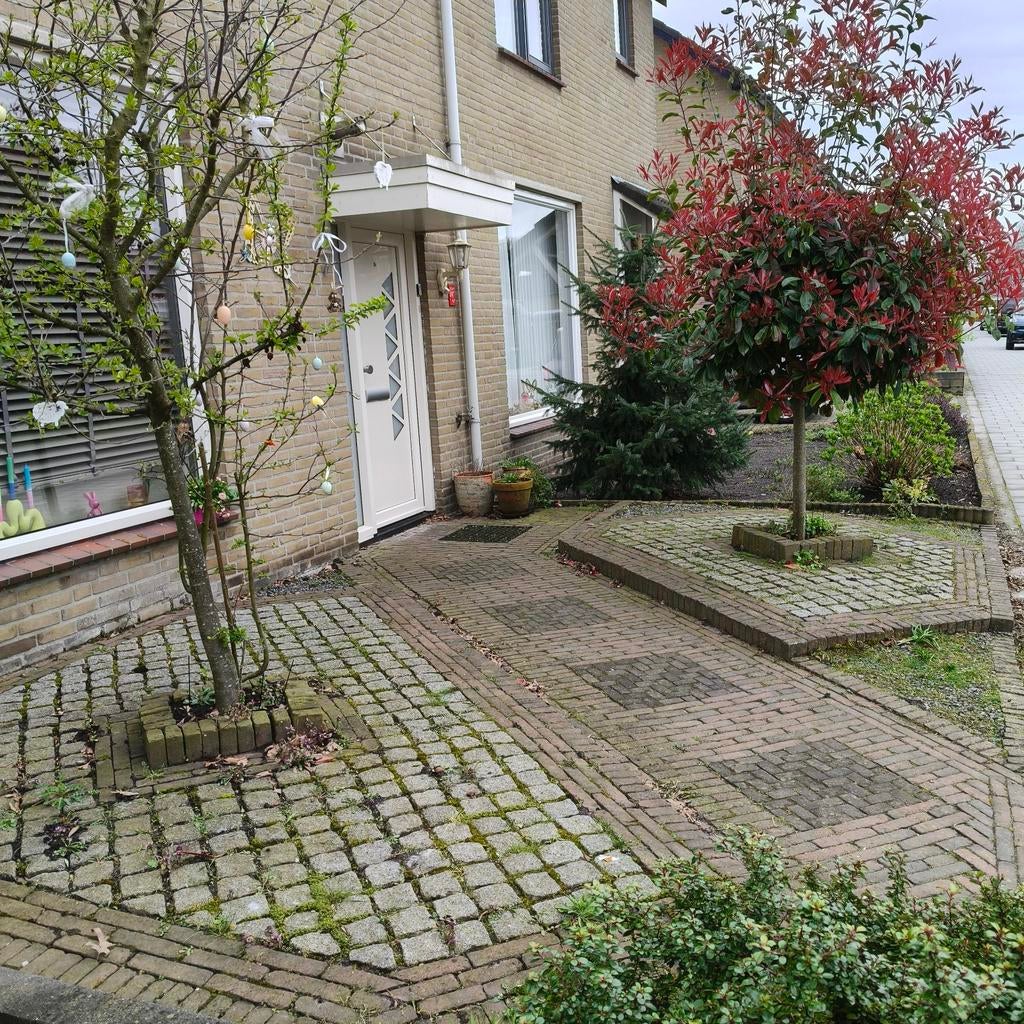 Voortuin, gratis ophalen!, Tuin en Terras, Ophalen of Verzenden, Gebruikt, Beton, Terrastegels