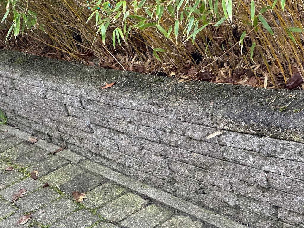 Gratis halve stoeptegels voor borderrand (ca. 168 stuks), Ophalen, Gebruikt, Minder dan 5 m², Beton