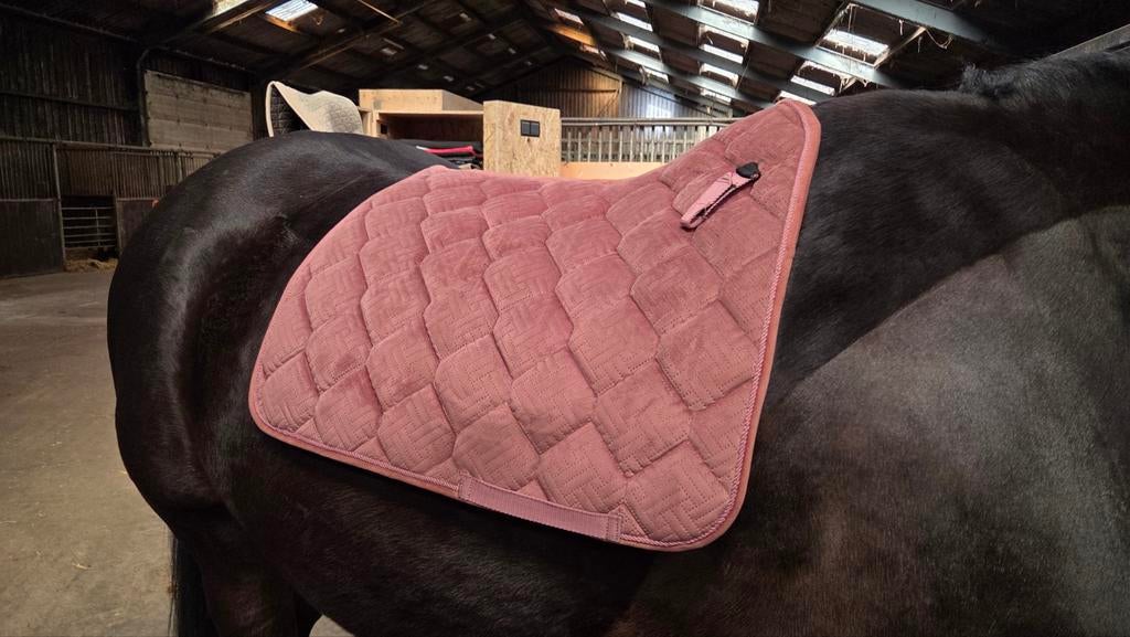 QHP !zgan! Velvet zadeldekje met halster oud-roze dr. Full, Ophalen of Verzenden, Zo goed als nieuw