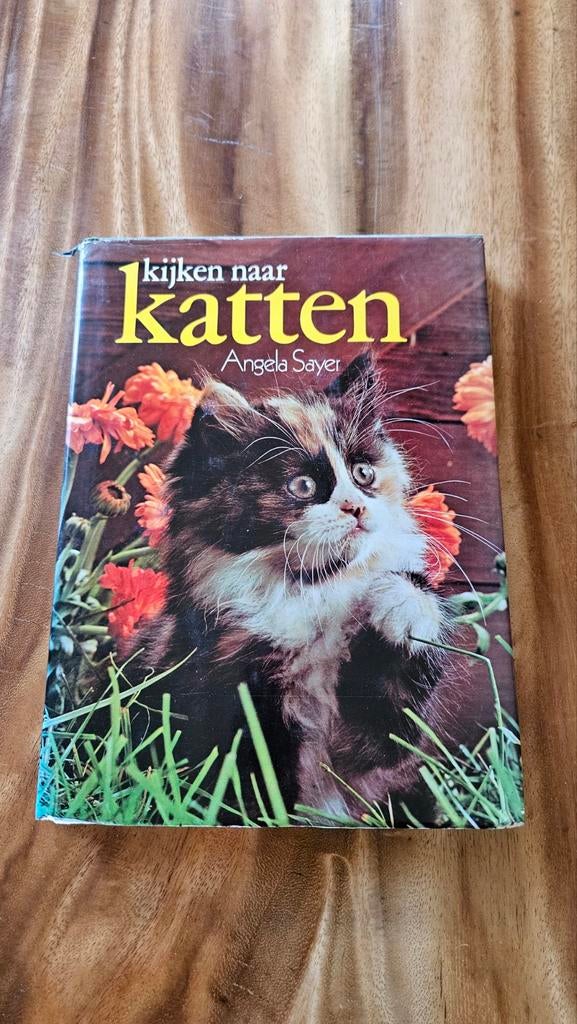 Kijken naar Katten - Angela Sayer (Boek), Ophalen of Verzenden, Gelezen, Katten, Angela Sayer