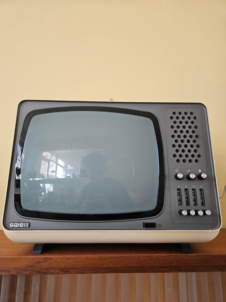Vintage Satelit Televisie – Retro Design Icoon (70s/80s), Ophalen of Verzenden, Overige merken