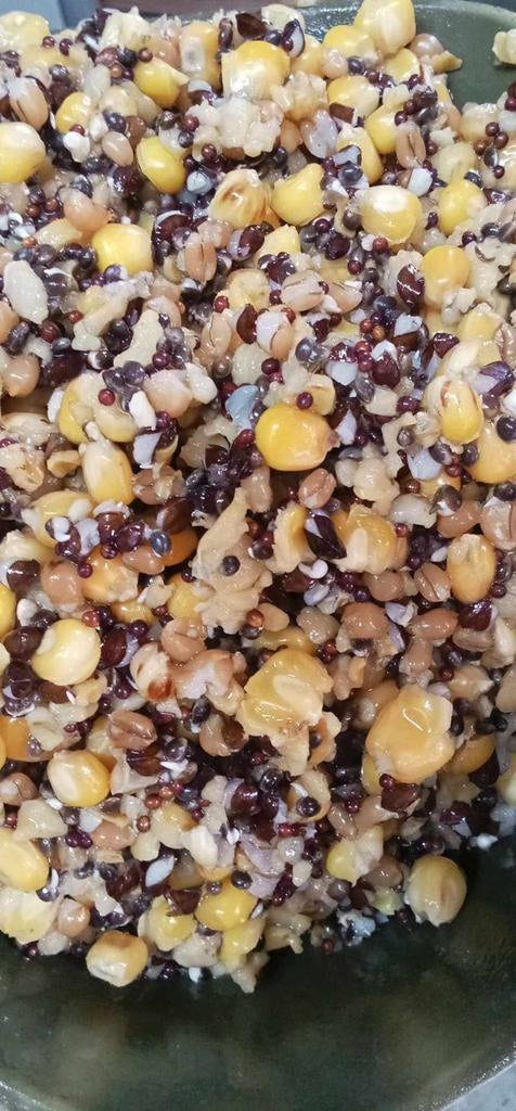 Partikel mix voor vissen, Ophalen of Verzenden