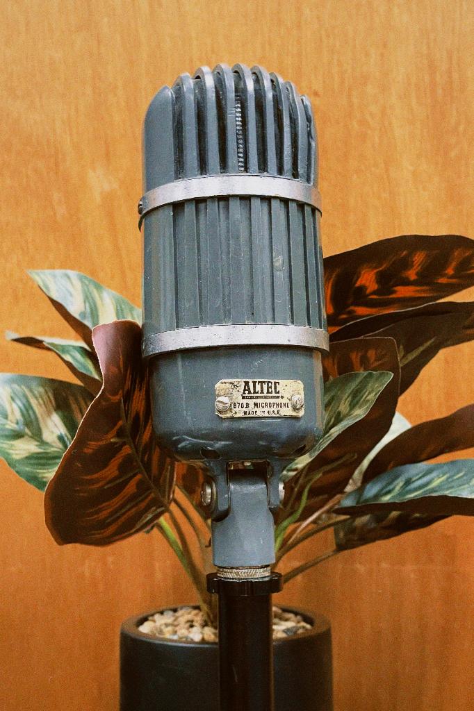 Altec 670B 50s ribbon microphone, Ophalen of Verzenden, Gebruikt, Studiomicrofoon