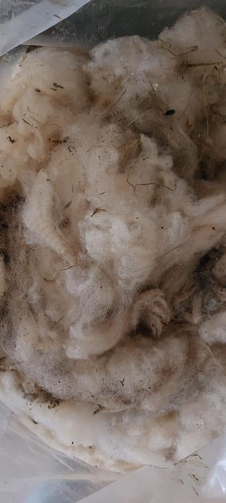 Schapenwol drie zakken, Hobby en Vrije tijd, Ophalen, Breien, Wol of Garen