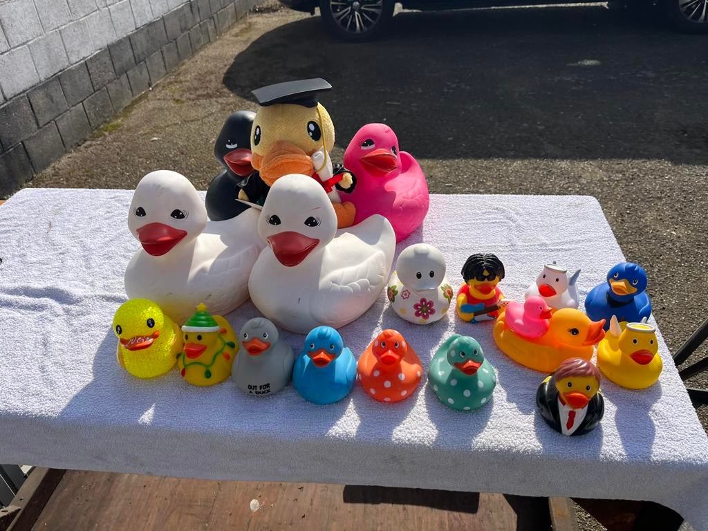 Collectie badeenden allemaal samen in 1 koop voor 15 euro, Ophalen, Zo goed als nieuw