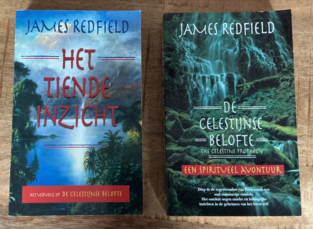 De Celstijnse Belofte & Het Tiende Inzicht - James Redfield, Ophalen, Gelezen, Spiritualiteit algemeen, Verhaal of Roman