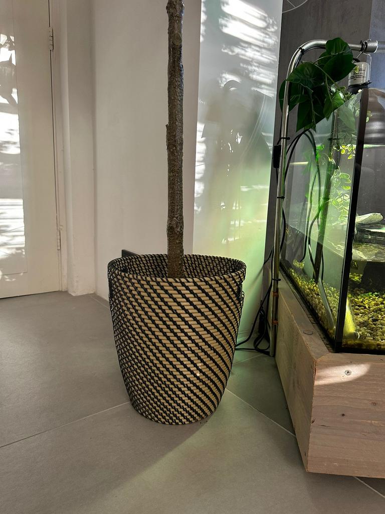 Planten Overpot Mand Nieuw!!!, Ophalen of Verzenden, Zo goed als nieuw, Rond, Minder dan 30 cm