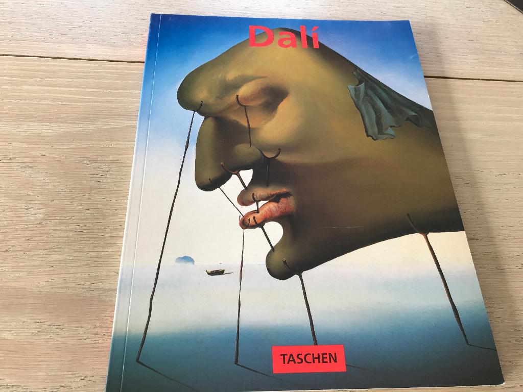 DALI, Ophalen of Verzenden, Zo goed als nieuw