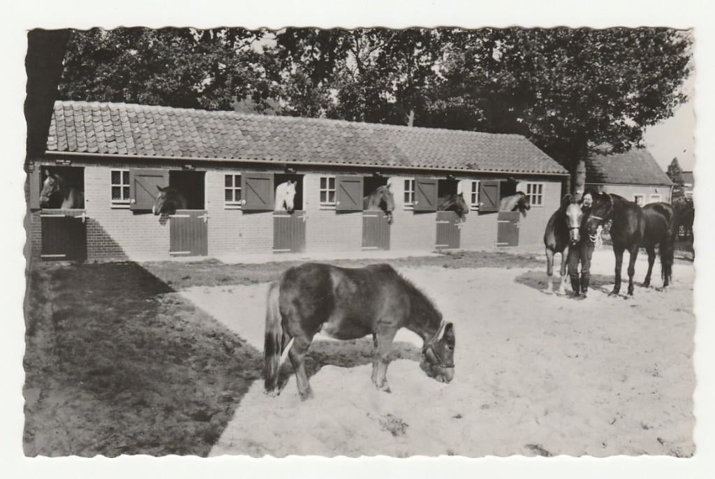 Soest - Nationaal Rusthuis voor Paarden, De Paardenkamp, Ophalen of Verzenden, 1960 tot 1980, Gelopen, Utrecht