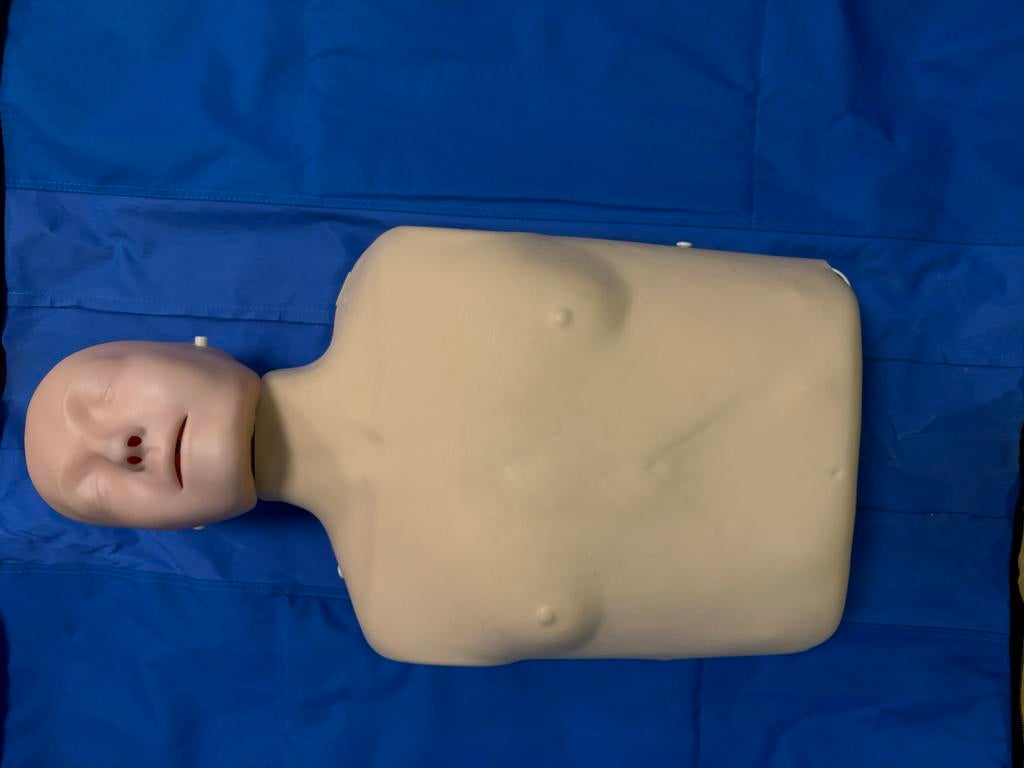 Little anne reanimatiepop ehbo, Ophalen