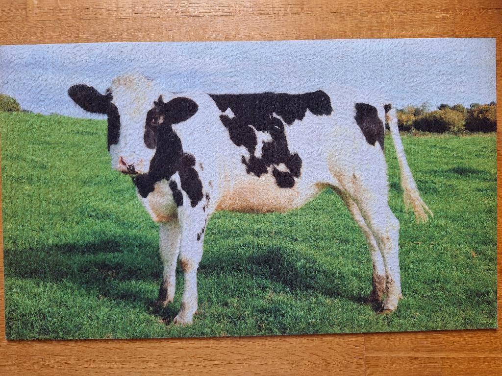 Mat met afbeelding koe., Ophalen, Zo goed als nieuw
