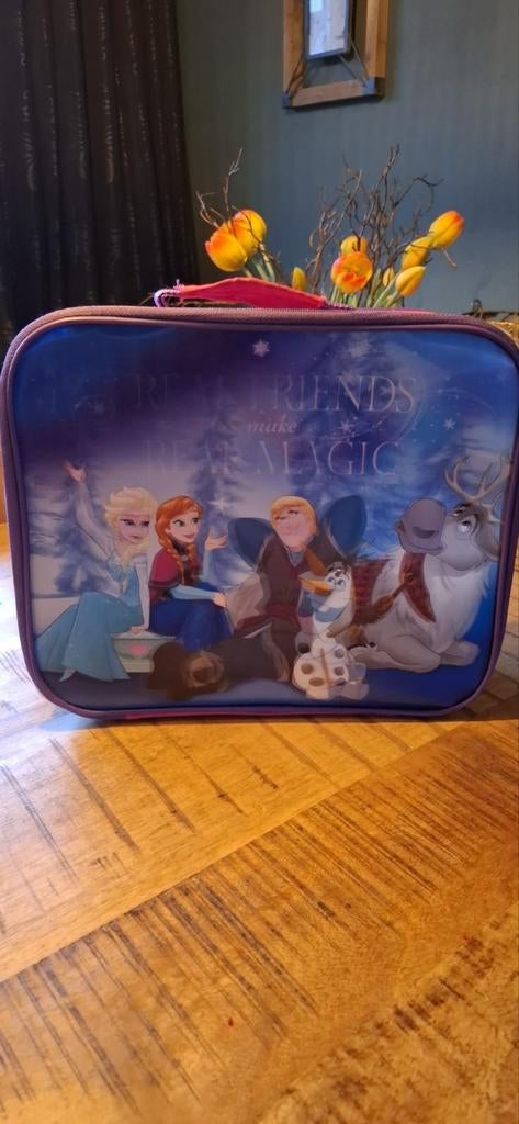 Frozen koffer met servies en bestek., Muziek en Instrumenten, Ophalen, Overige instrumenten