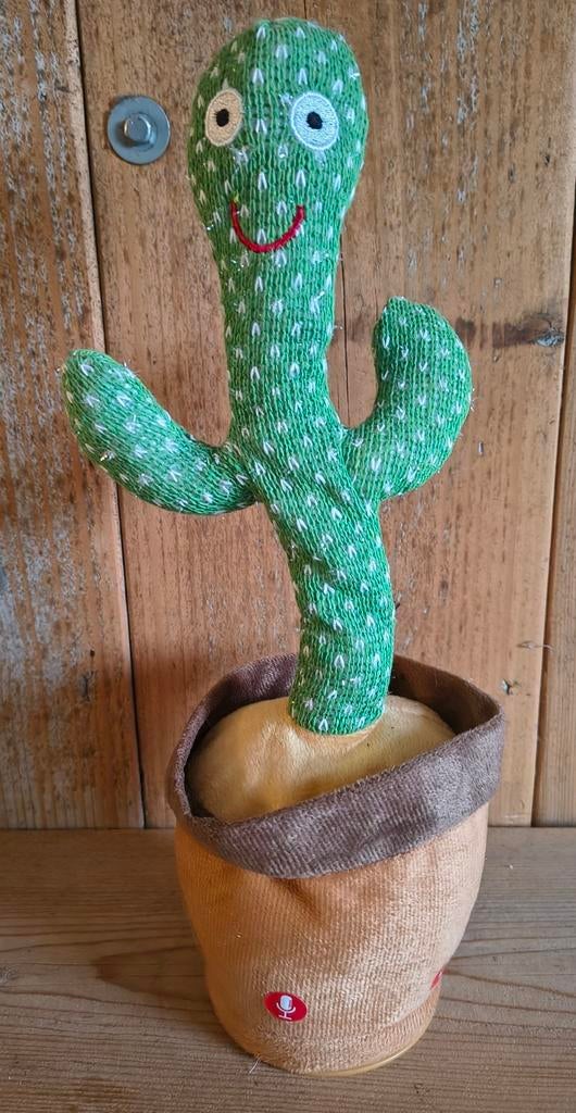 Dansende cactus met licht en geluid, Ophalen of Verzenden