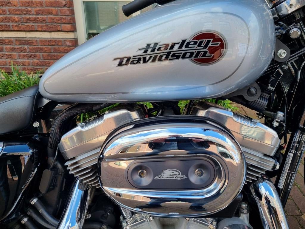 HARLEY-DAVIDSON XL883L Superlow (bj 2020), HARLEY-DAVIDSON, Chopper, Bedrijf, Onbekend