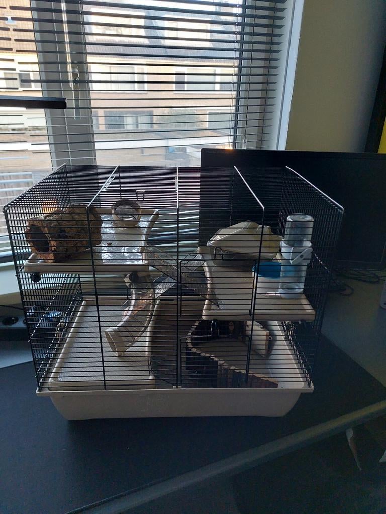Hamsterhok inclusief toebehoren, Gebruikt, Minder dan 75 cm, Hok, Ophalen