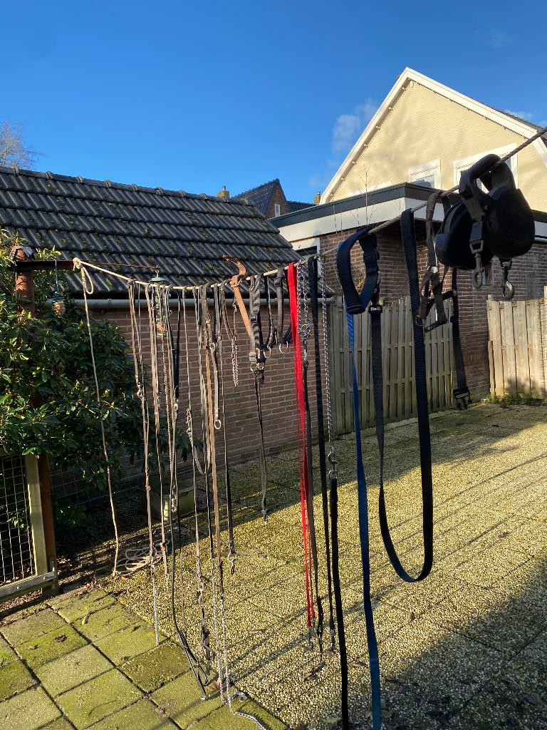 Hondenriemen, Ophalen, Gebruikt, Hondenriem-accessoire