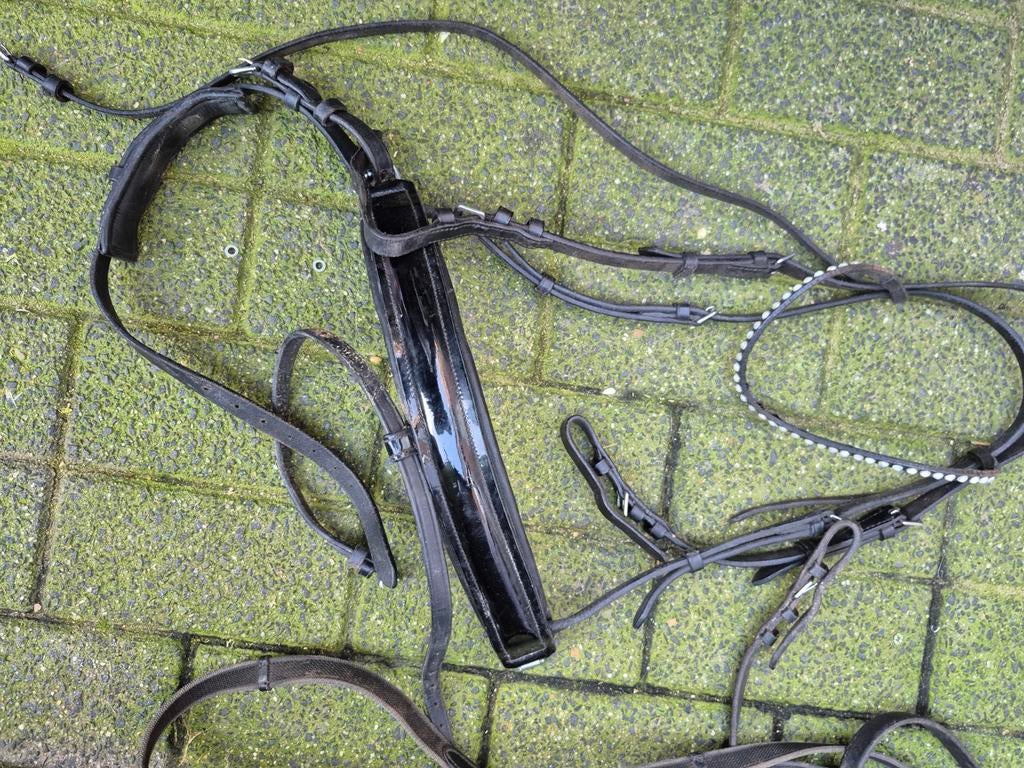 Hoofdstel maat full rossner lak neusriem, Dieren en Toebehoren, Ophalen of Verzenden, Gebruikt, Dressuur