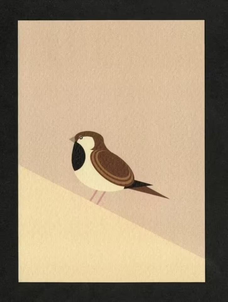 Mus Huismus House Sparrow Passer Domesticus., Ophalen of Verzenden, 1980 tot heden, Ongelopen, Vogel