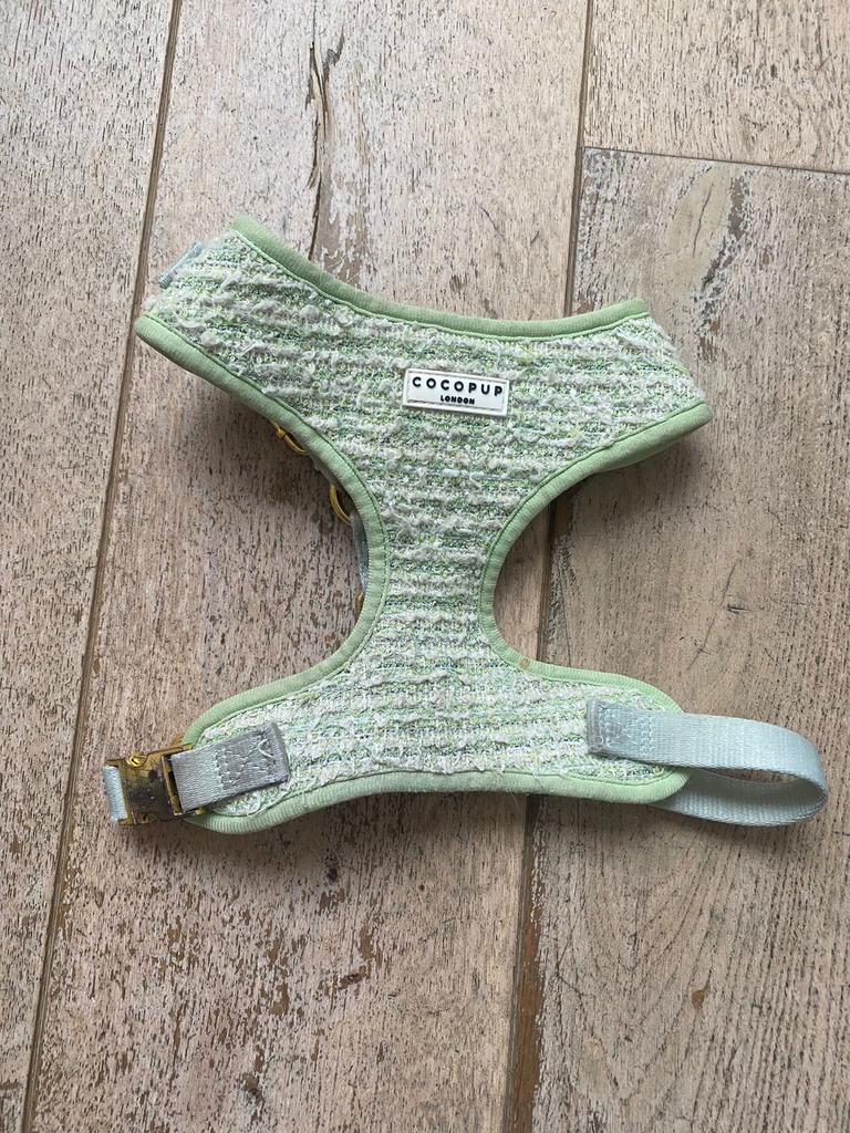 Tuig voor pup. Cocopup London, Dieren en Toebehoren, Ophalen, Gebruikt, Hondenriem-accessoire
