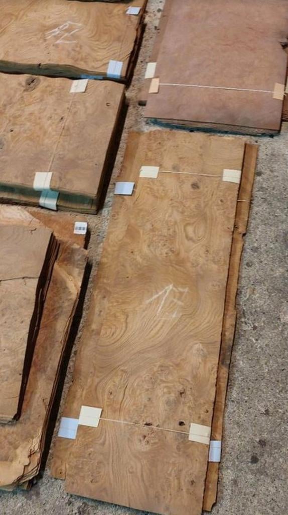 Wortel fineer mooie grote stukken, Ophalen of Verzenden