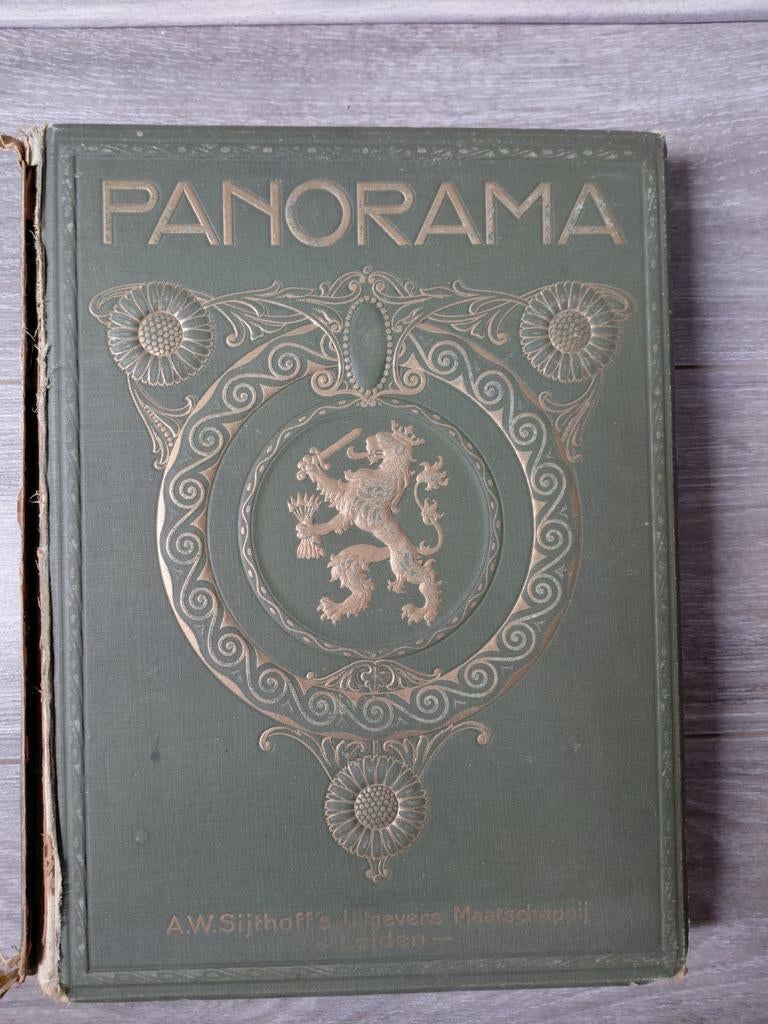 Panorama Sijthoff's uitgeverij Leiden 1915, Antiek en Kunst, Antiek | Boeken en Bijbels, Ophalen of Verzenden, Zie beschrijving