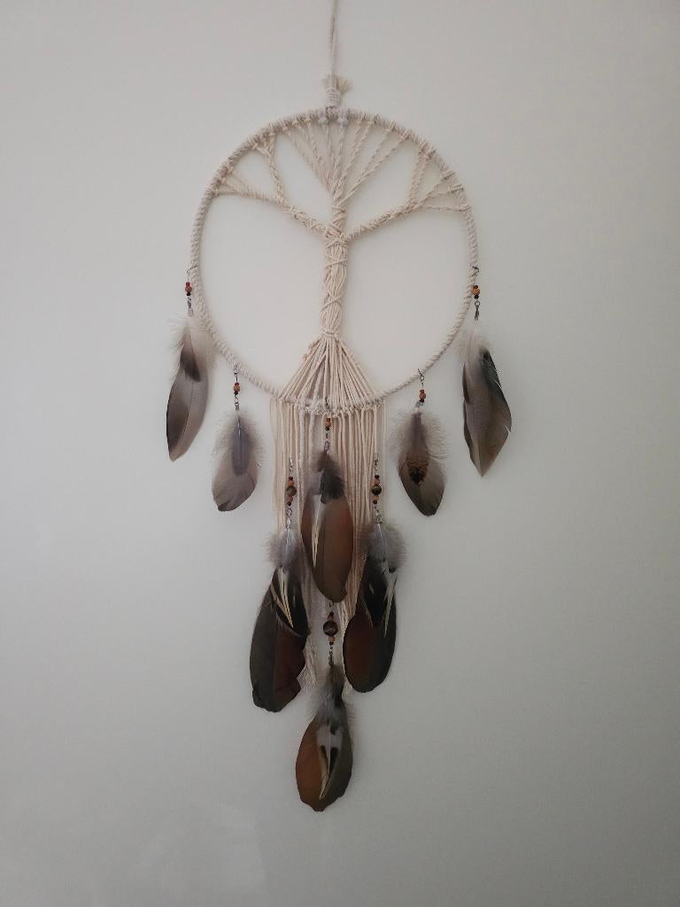 Dromenvanger, Ophalen of Verzenden, Zo goed als nieuw