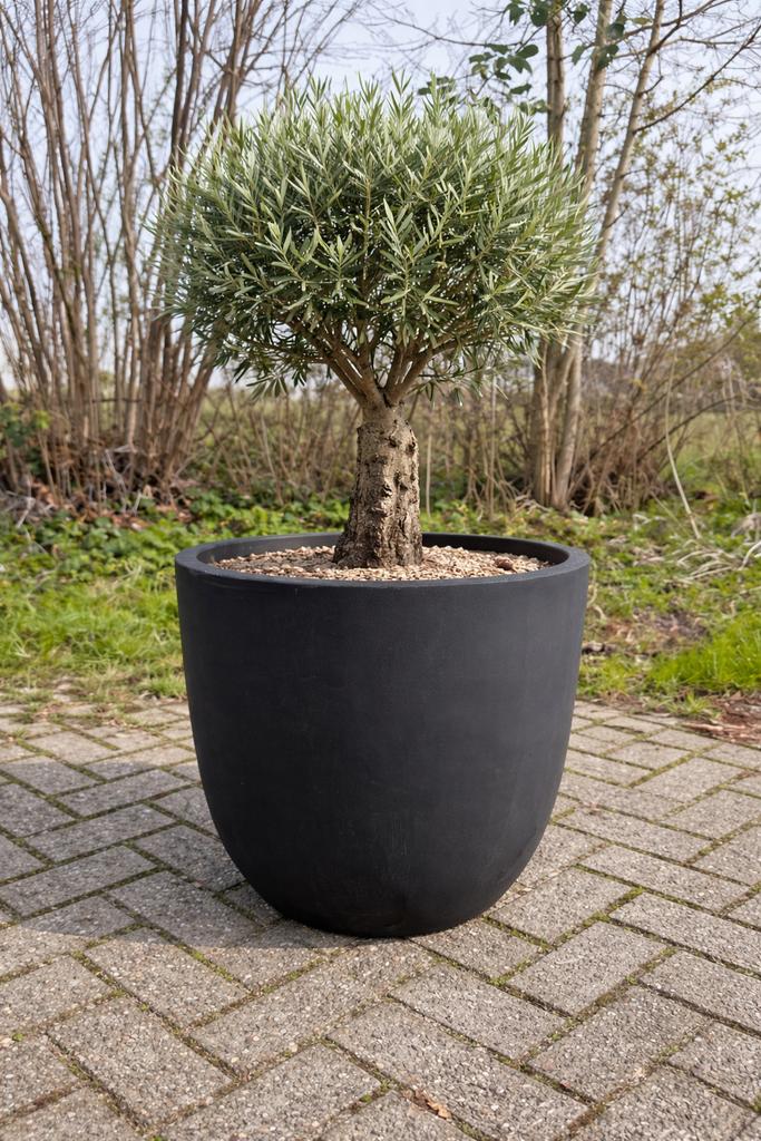 Grote antraciet bloempot voor boompjes, Ophalen, Steen, Rond, Nieuw