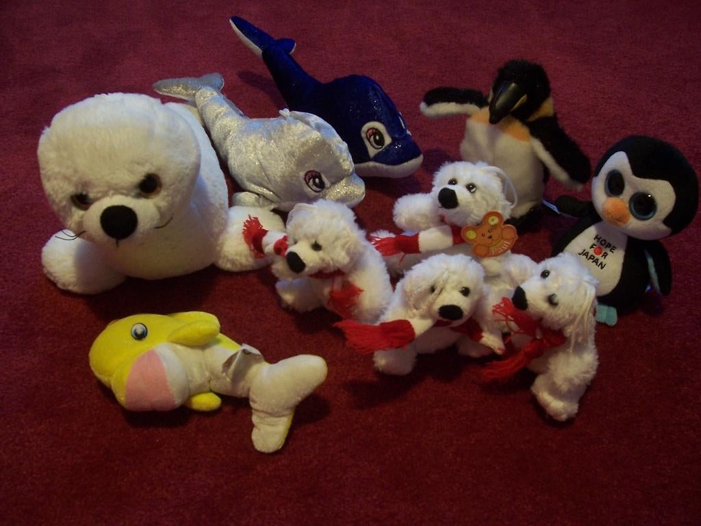 10 verschillende zeedieren knuffels o.a. dolfijn, pinguin, Ophalen of Verzenden, Gebruikt, Overige typen