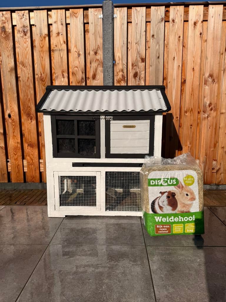 Konijnenhok (nieuwprijs 280), Dieren en Toebehoren, Knaagdieren en Konijnen | Hokken en Kooien, 110 cm of meer, Ophalen of Verzenden